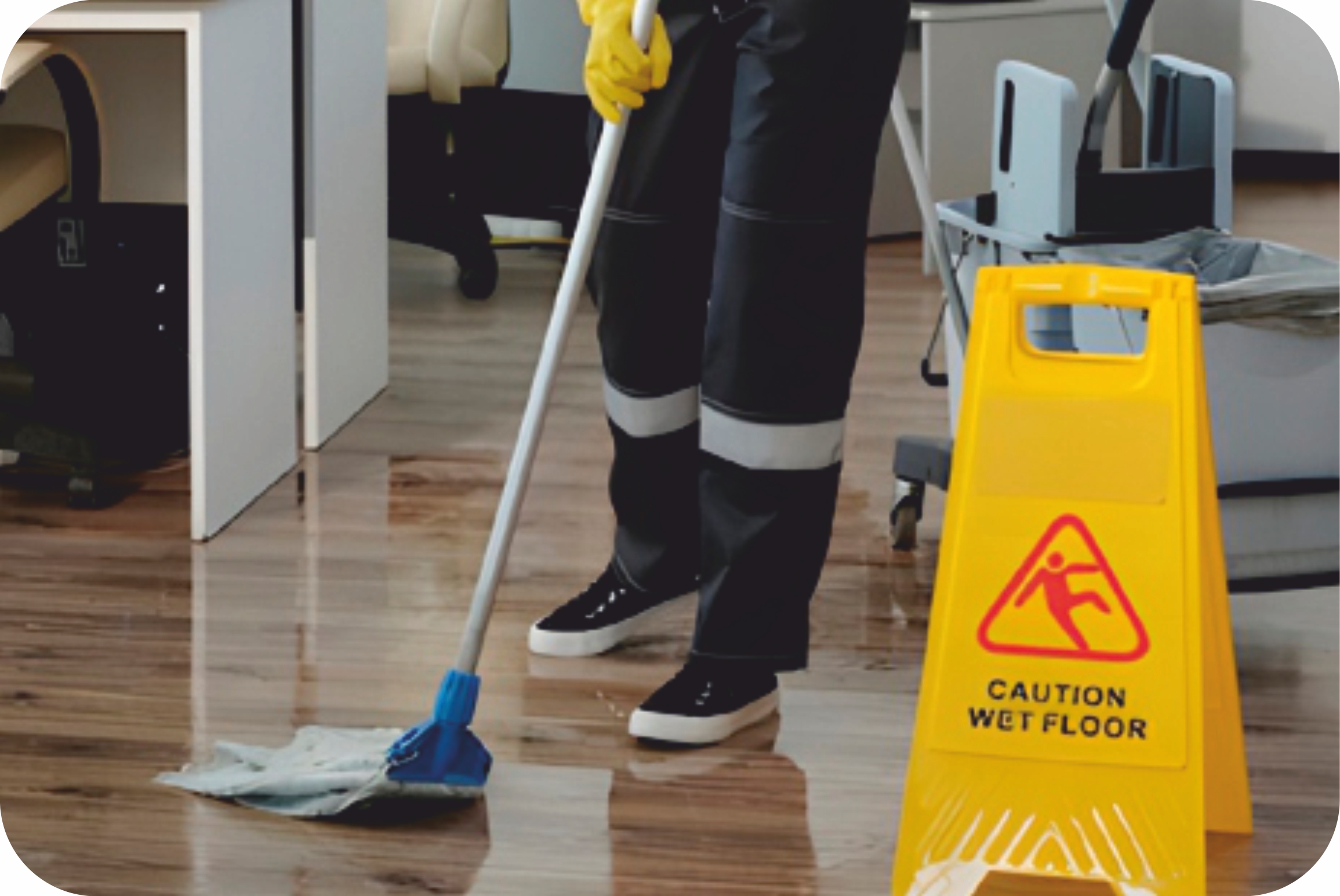Cleaning Services